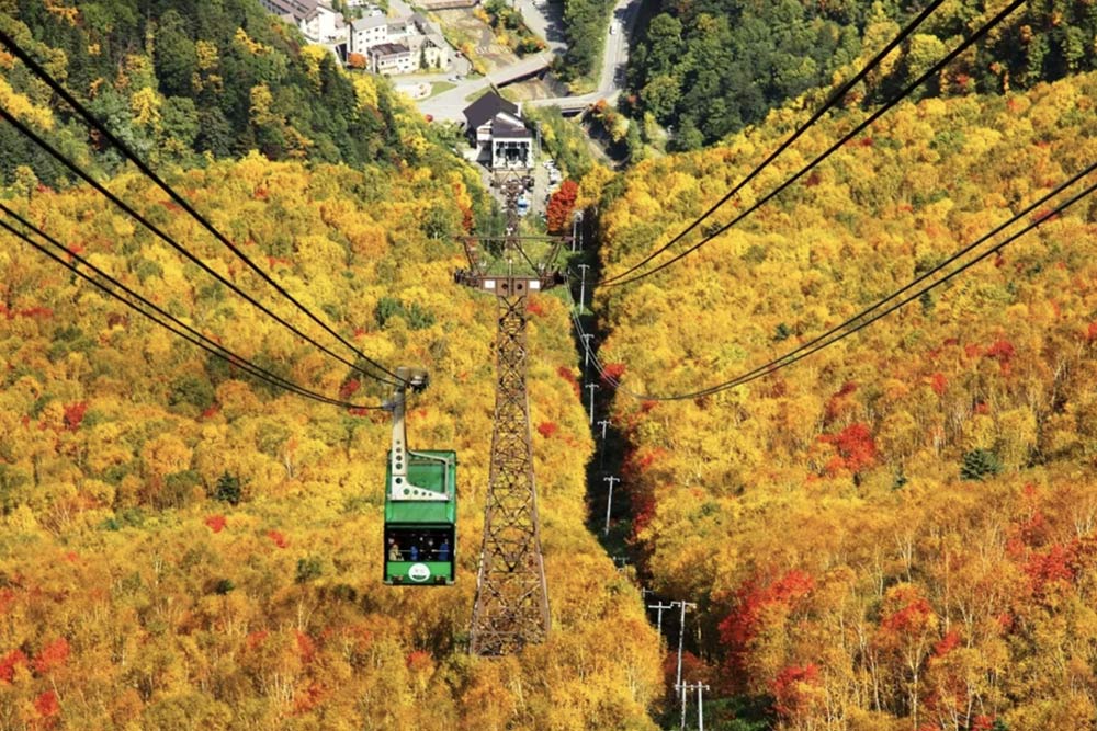 Across No1 Travel Packege Tour