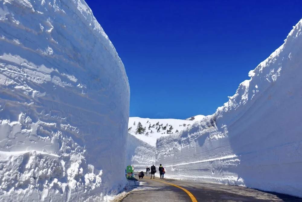 Across No1 Travel Packege Tour