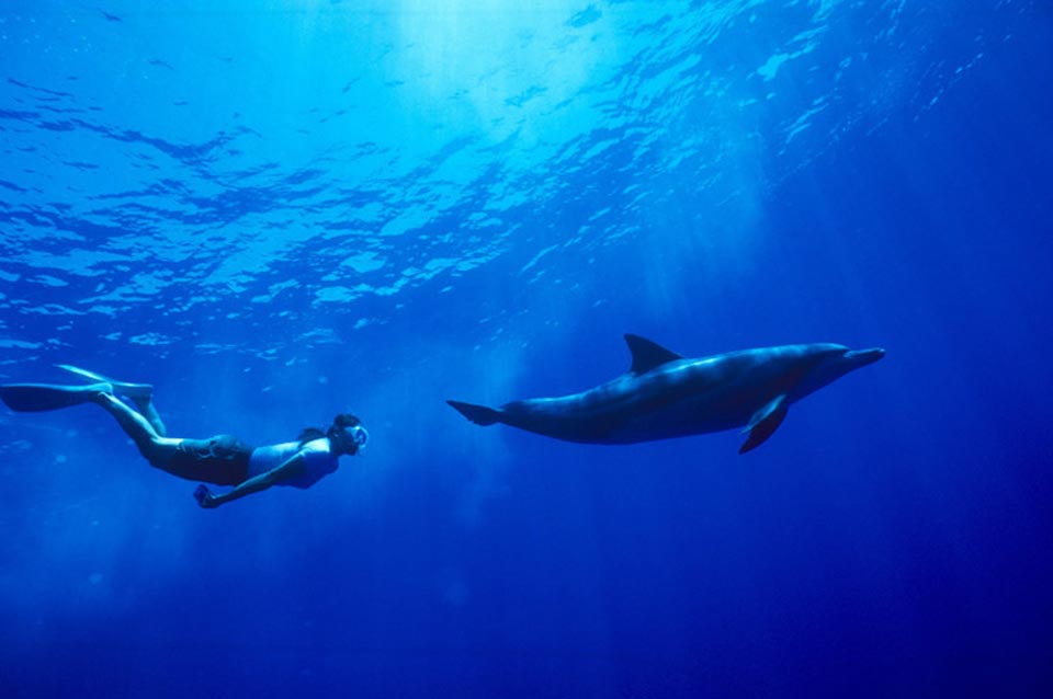 Across No1 Travel Packege Tour