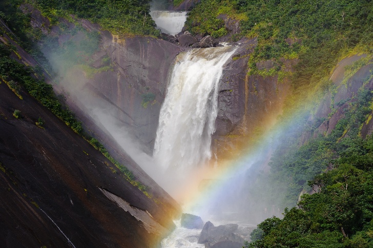 Yakushima Custom Made 4-day Private Tour